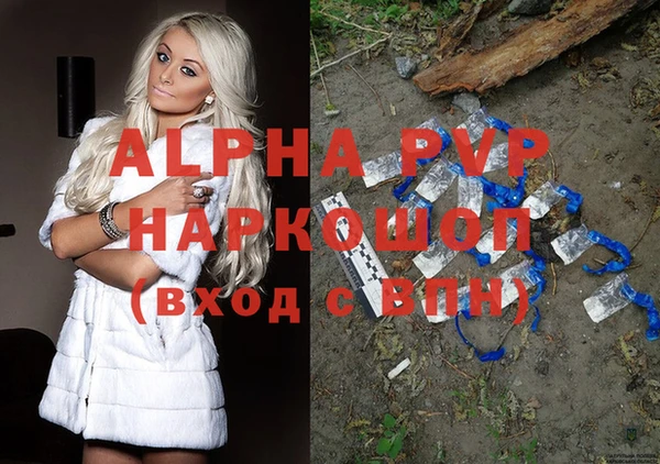 прущие грибы Новокубанск