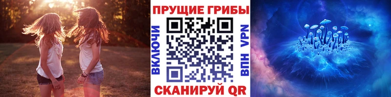 blacksprut вход  где купить наркотик  Петушки  Псилоцибиновые грибы ЛСД 